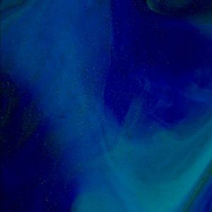 Meet your Posher, Trey